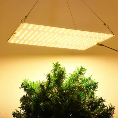 Luz de cultivo LED regulable 1500W espectro completo Samsung Lm281b Luz de cultivo de plantas