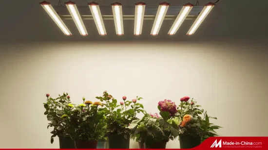 La planta de barra regulable Sepctrum completa 1000W LED crece la luz para la iluminación de invernaderos de horticultura