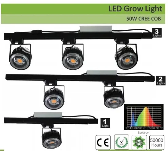 Fábrica de 50W 100W Crees COB Cxb3590 LED crece la luz 3000K de espectro completo para plantas de invernadero LED crece la luz